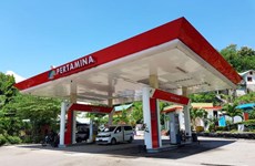 Indonesia to cut diesel subsidy by half next year 