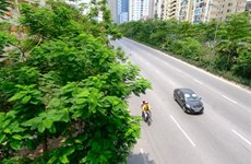Authorities plan to make Hanoi greener