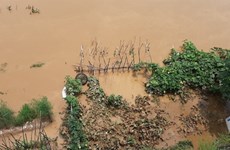 Northern Lao Cai province hardest hit by heavy rain 