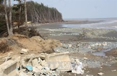 Tra Vinh builds embankment to prevent coastal erosion