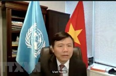 Vietnam joins UNSC open debate on peace operation, human rights