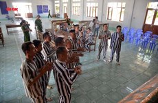 Life-changing opportunities come to foreign prisoners