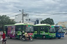 HCM City considering 17.3 billion USD public transport plan