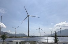 Vietnam lacks mechanisms for private investment in renewable energy