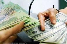 Reference exchange rate down 1 VND at week’s beginning