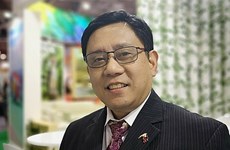 Vietnam an invaluable member of ASEAN Community: Philippine Ambassador