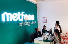 Vietnamese firms increase overseas investment