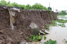Mekong Delta faces increasing erosion along rivers, canals