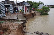 Heavy rains, strong winds damage houses in Mekong Delta