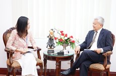 Vietnam maintains ASEAN cooperation process despite pandemic: Indonesian ambassador
