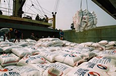 Vietnam exports 3.9 million tonnes of rice in seven months