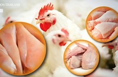 Thailand cuts chicken production as global demand drops