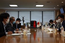 Japanese ministry pledges support for Vietnamese interns