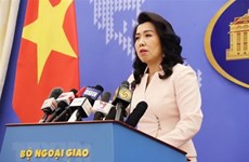 Hoang Sa, Truong Sa - inseparable parts of Vietnam: Foreign Ministry spokesperson