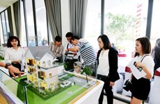 Experienced investors still interested in property market: experts