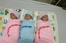 Vietnam sees increasing survival rate of premature infants