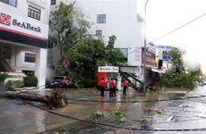 Storm Noul leaves one dead, several injured in Thua Thien-Hue