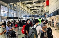 Over 340 Vietnamese in US flown home safely