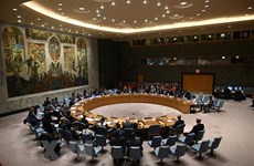 Vietnam backs UN, AU efforts to ensure peace in Africa  