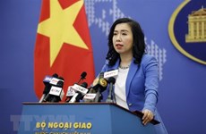 Vietnam welcomes countries’ standpoints on East Sea issue: Spokesperson