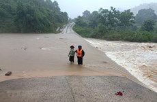 PM requests extra efforts to cope with floods in central region