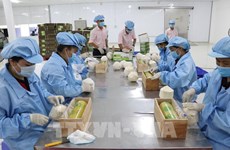 EVFTA brings myriad opportunities for Vietnam exporters: official