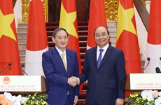Vietnamese, Japanese PM hold talks 