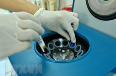 HCM City aims to give NCD screenings to over 12,000 residents