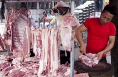Pork prices fall as Vietnam increases imports