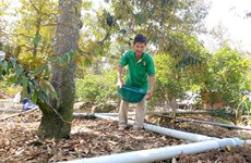 Mekong Delta takes preventive measures against saline intrusion  