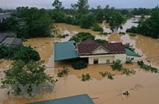 Vietnamese in Czech, Poland raise fund to help flood victims