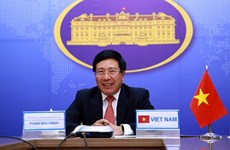 Vietnamese, Malaysian foreign ministers hold virtual talks