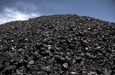 Indonesia to reduce exports of unprocessed coal