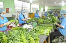 Fruit, vegetable exports expected to revive after nine-month slump