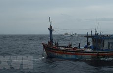 Three Binh Dinh fishermen adrift at sea saved
