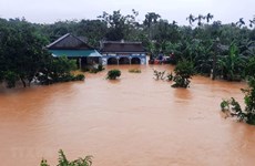 Seven working groups set up to handle flood consequences 