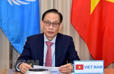 Vietnam stresses need to observe law of the sea at UNSC’s open debate