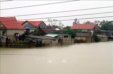 Netherlands to help Vietnam with 2.34 million USD flood aid package 