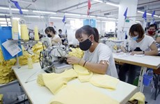 Women-led enterprises make great contributions to economic recovery: expert
