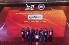 Vietnam's 500 largest enterprises in 2020 announced