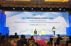 Vietnam Business Summit 2020 opens
