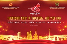Friendship Night marks 65th anniversary of Vietnam-Indonesia diplomatic ties