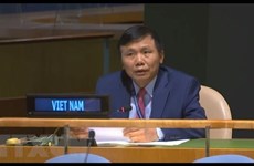 Vietnam supports UNSC reform: Ambassador 