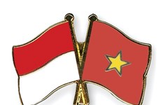 Vietnam-Indonesia hold workshop to encourage economic cooperation amid COVID-19
