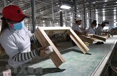Vietnam to be one of fastest-growing economies in 2021: Moody's Analytics