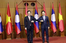 Vietnam, Laos hold foreign ministerial-level political consultation