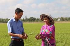 Tra Vinh takes measures to deal with drought, saltwater intrusion 