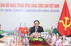 Vietnamese, Chinese Party officials hold talks virtually  