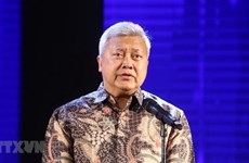 Indonesian ambassador receives Friendship Order 