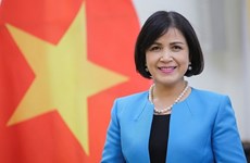 Vietnam boosts cooperation with Geneva Int’l Centre for Humanitarian Demining